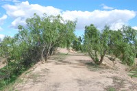 /album/fotogaleria/despues-6-jpg/